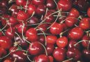 Smagen af Sommeren: Kirsebærlaurbærretninger